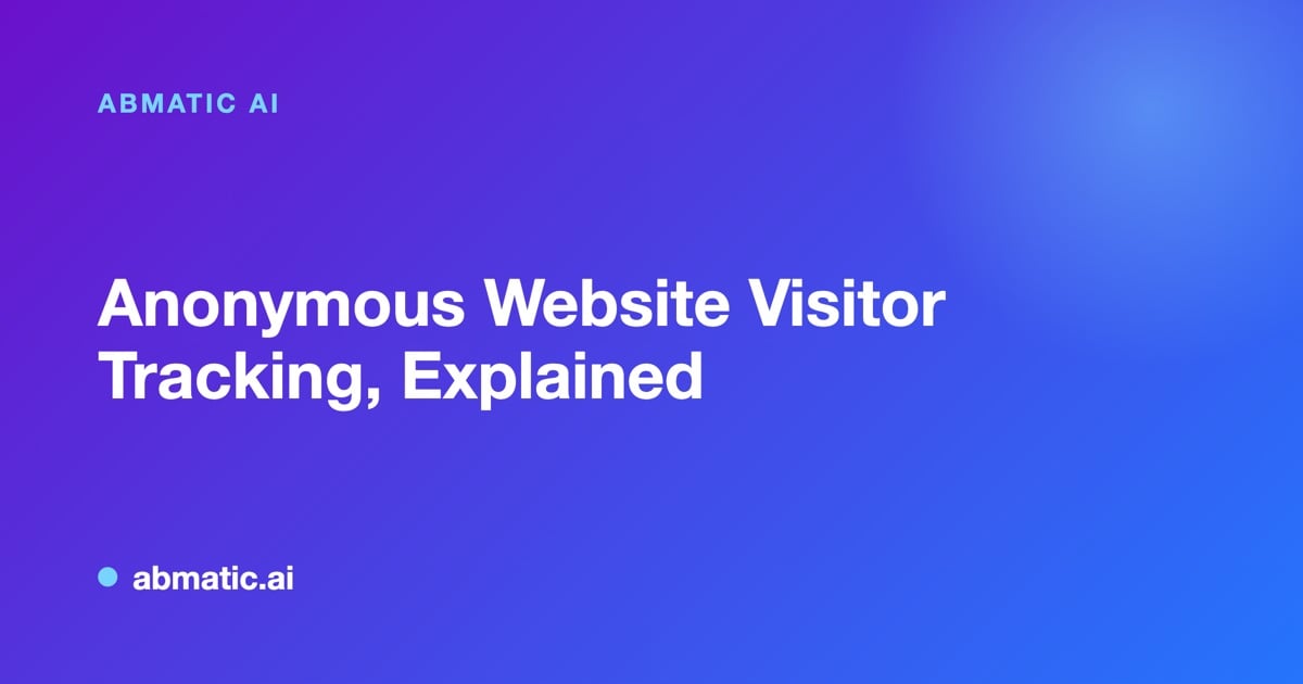 Anonymous website visitor tracking showing identified company and contact data from site traffic