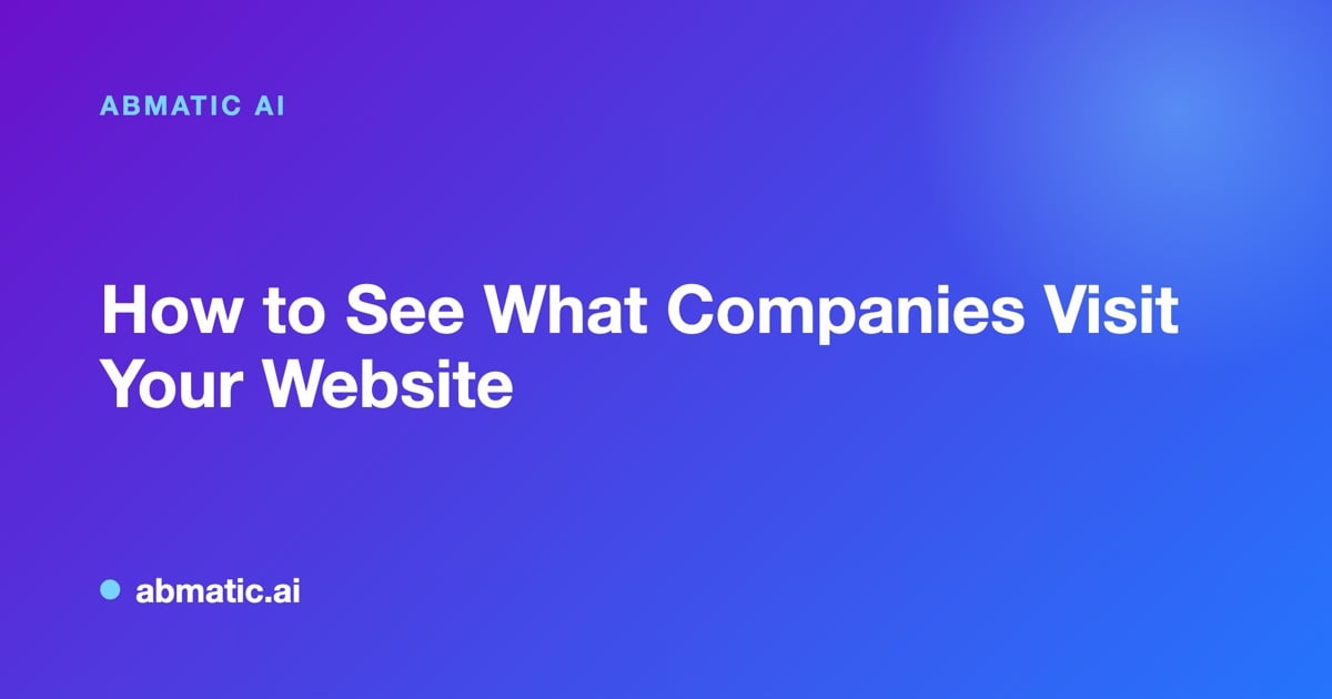 Dashboard showing identified company names from anonymous website traffic