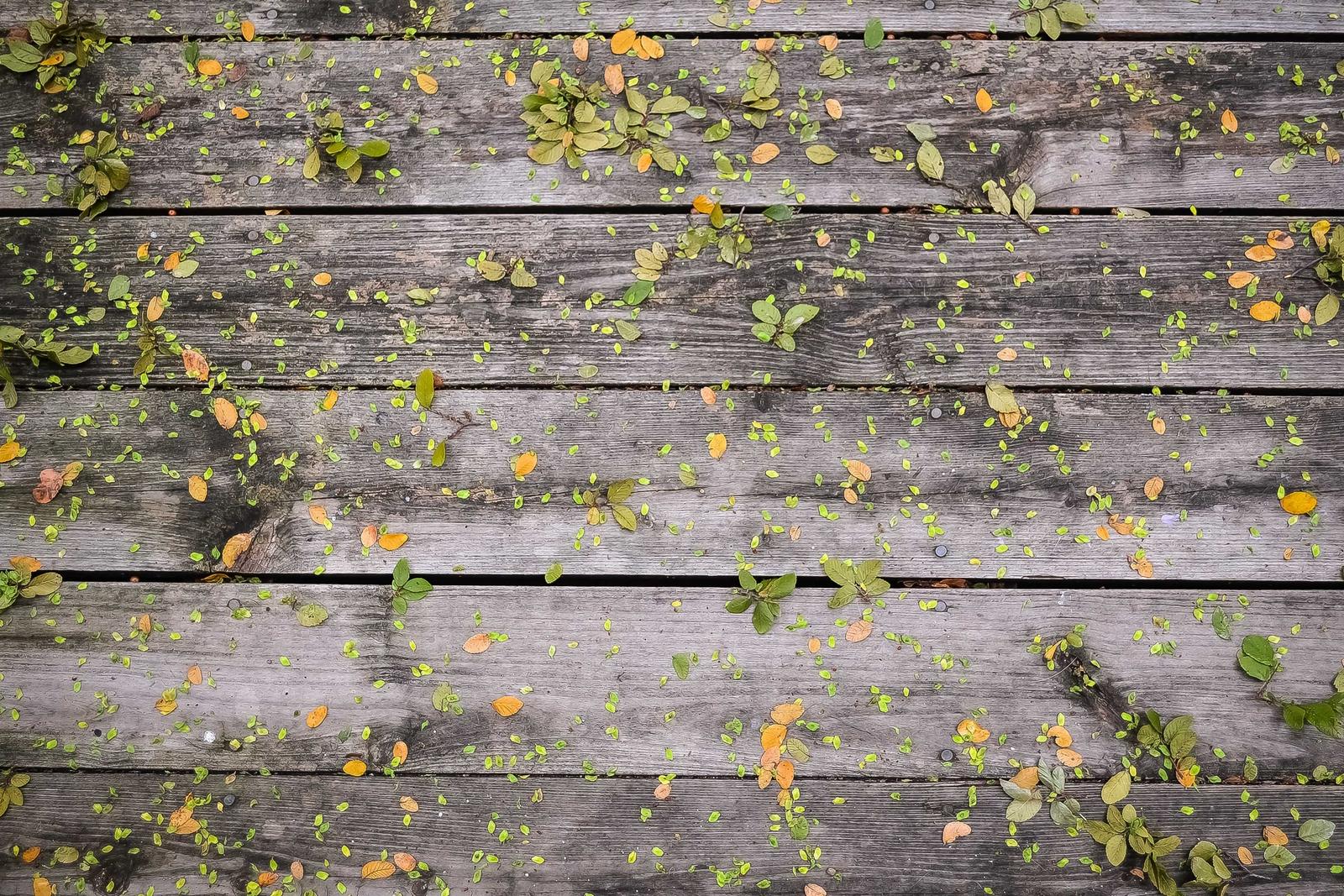 How to Score Accounts with Intent Data