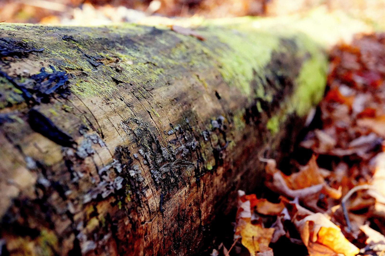 Pipeline Velocity With ABM Guide