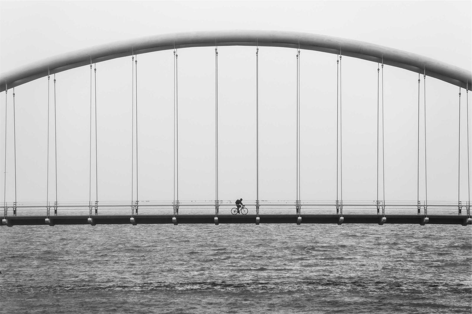 The Benefits of Using High-Quality Images on Your SaaS Landing Page