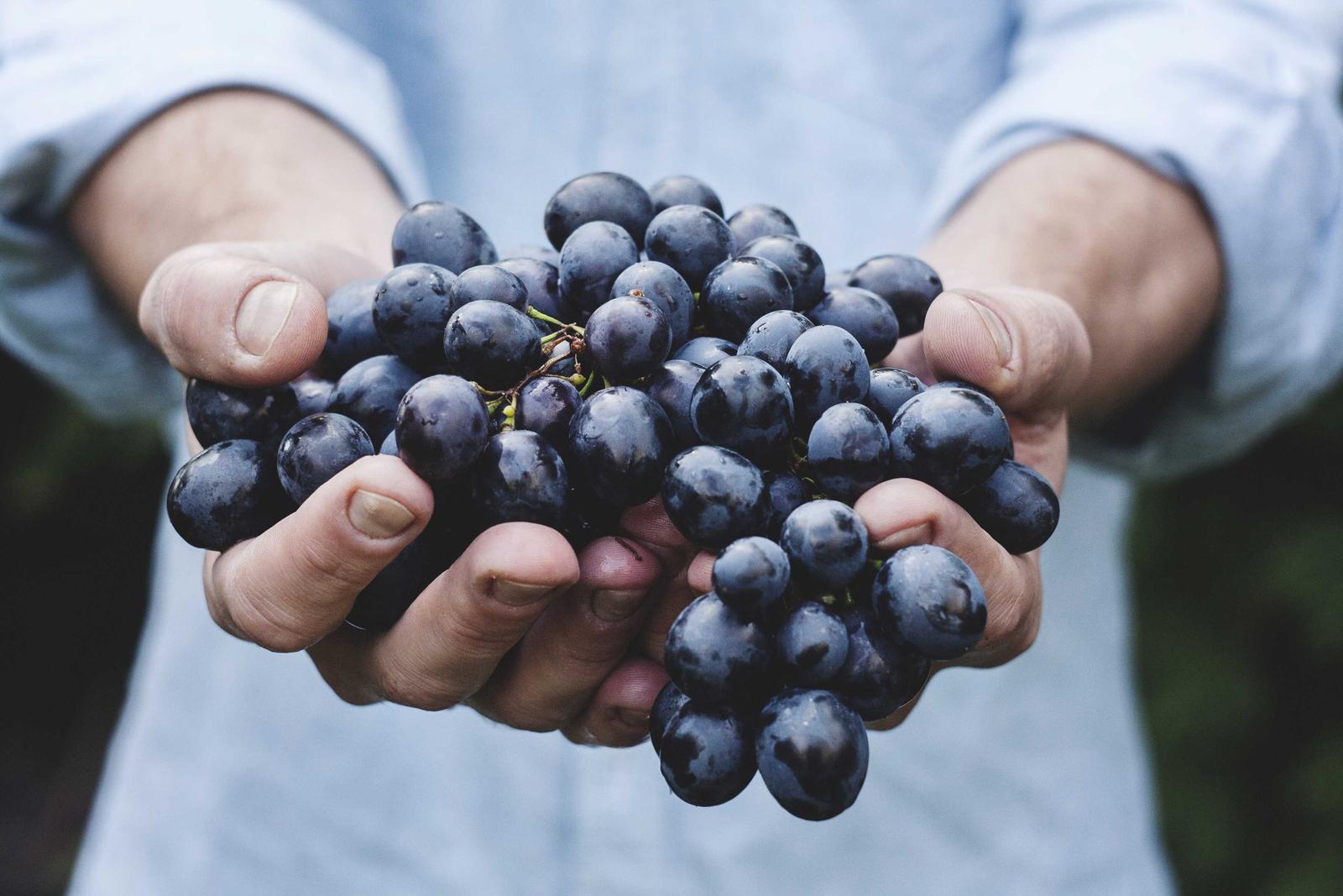 What Is B2B Audience Segmentation? Strategy Guide