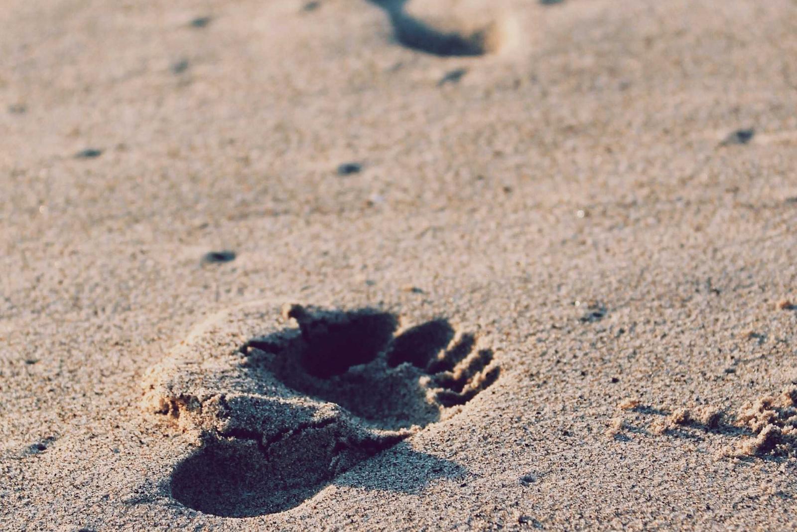 Improving Email Campaign Results with UTM Tagging