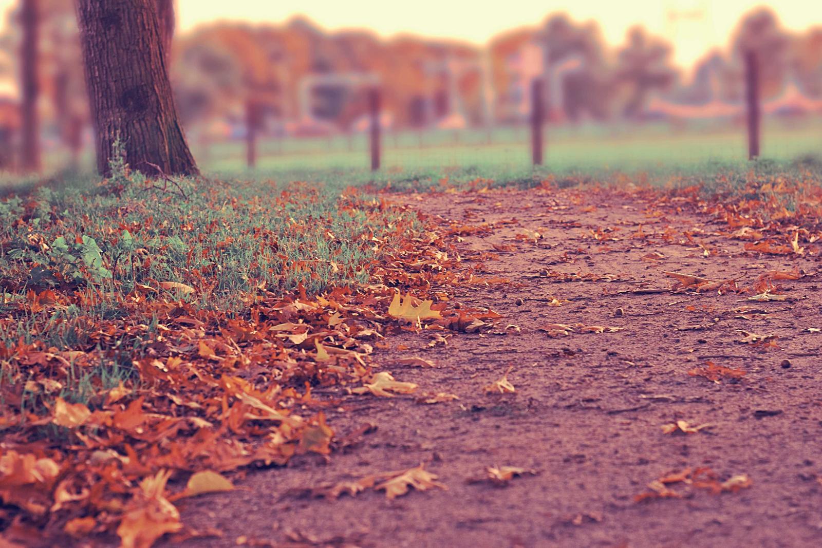 Optimizing Account-Based Web Experiences: Personalized Landing Pages and Content