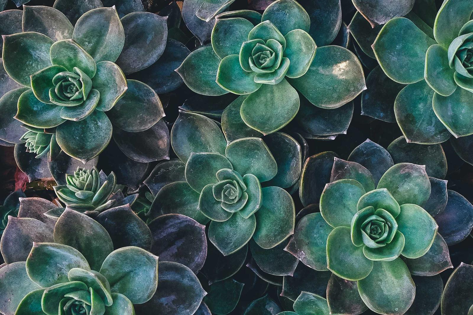 ABM Content Personalization Playbook