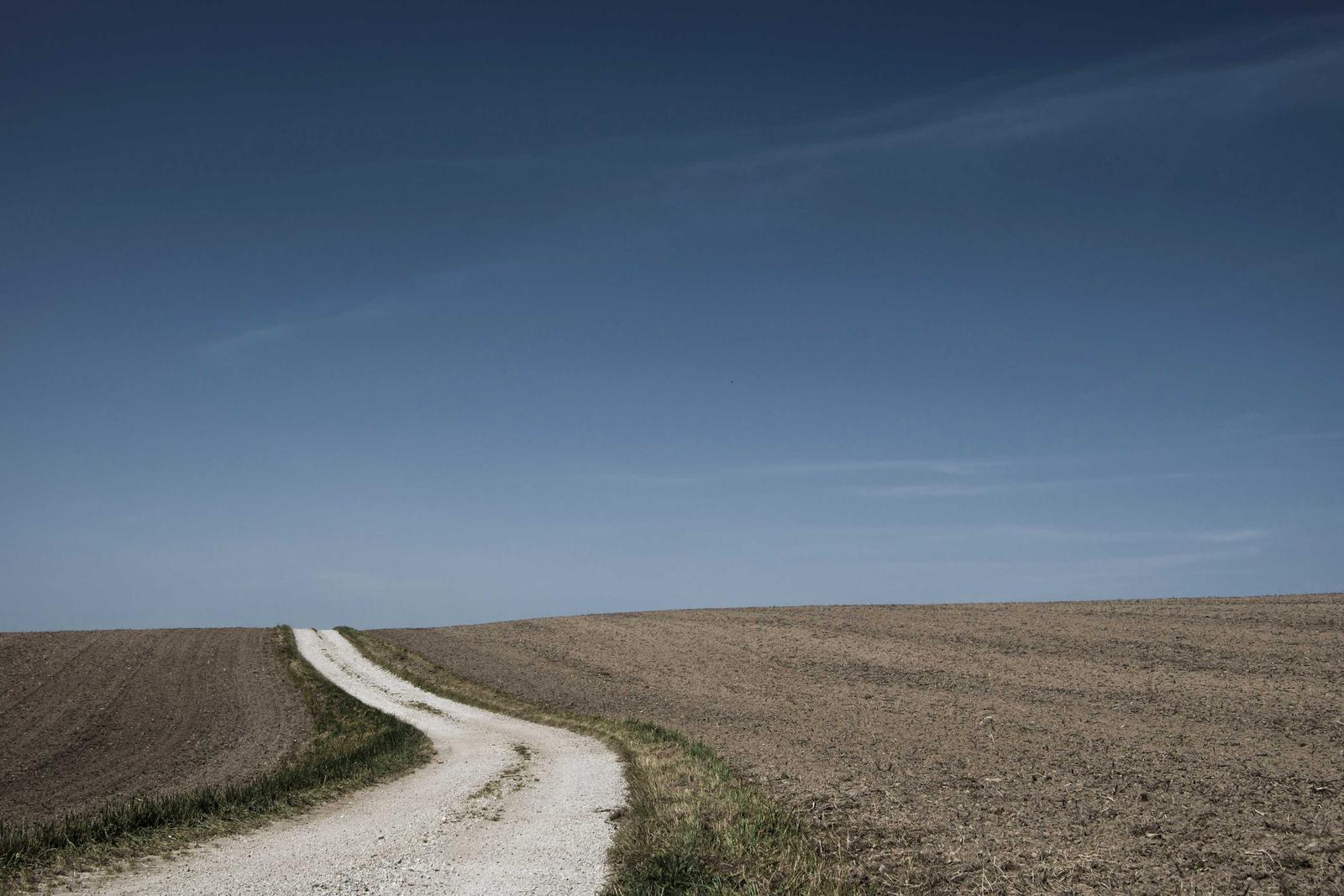 The benefits of using a clear and simple form on your landing page