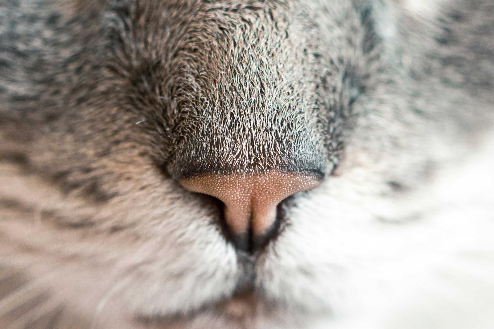 Learn how to use technographics in ABM to tailor your campaigns according to the technology stacks of your target accounts.