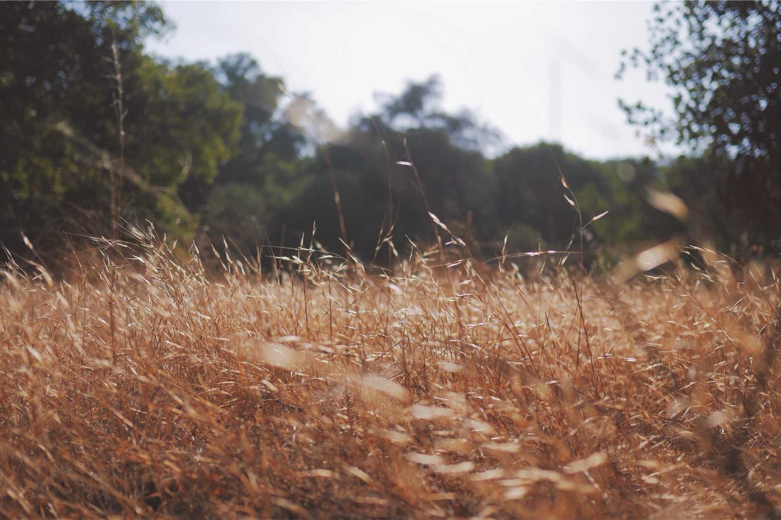 Demand Generation vs Lead Generation: What's the Difference?